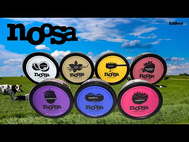 7 Noosa Finest Yoghurt 8oz Tubs Review