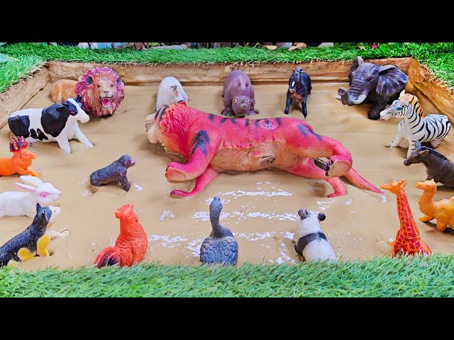 Endangered Animals Defeat Big Tiger and Wild, Safari Animals Stuck in Mud!