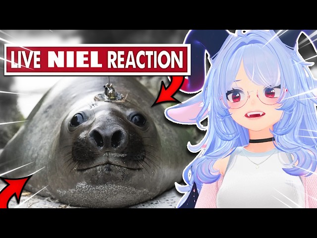 NEIL IS AN ABSOLUTE MENACE! | VTuber Reacts to MoreParz