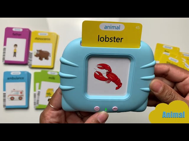 Talking English Words Flash Cards for Kids: Educational Reading Toy LittleKidsShow #1
