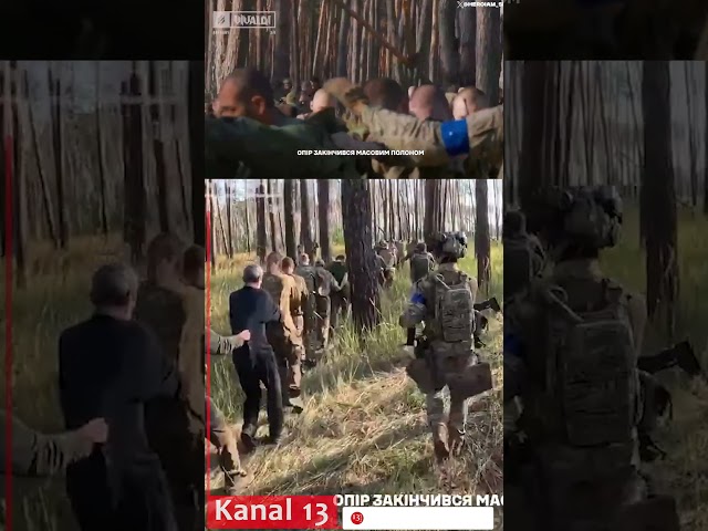 Hundreds of Russian troops captured, lined up in forest