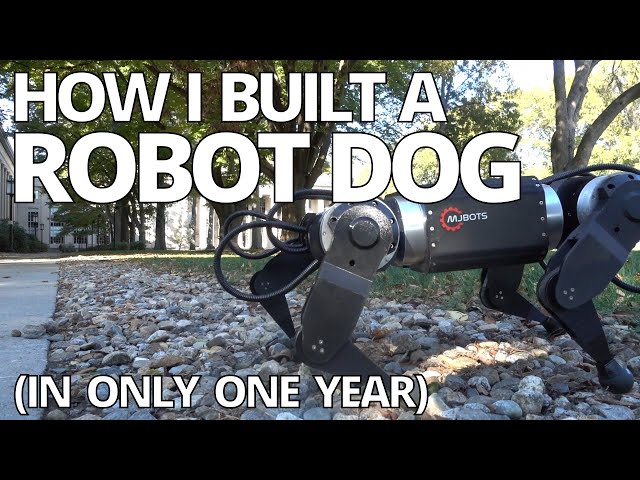 One year of building a robot dog