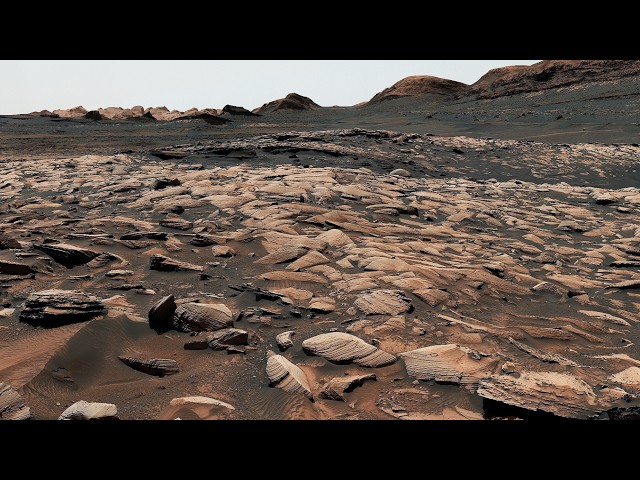 NASA's Curiosity marks 5,000th sol with full-day Mars panorama