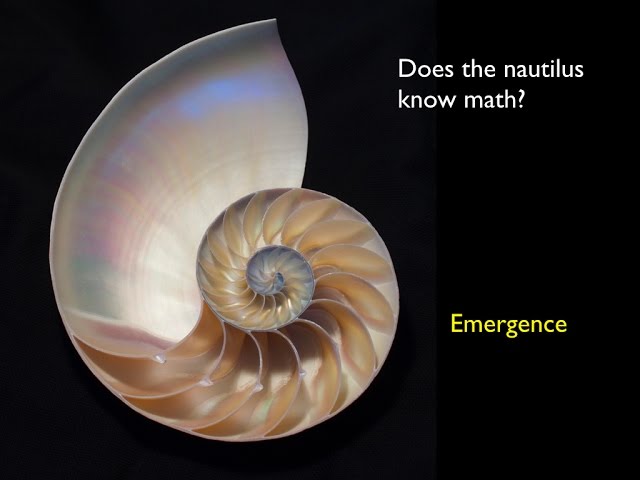 Emergent rhythms in time and space: the science and art of pattern formation