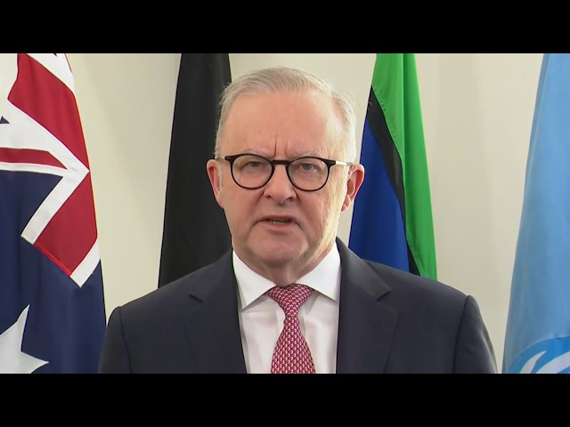 Albanese government faces questions over its approach to artificial intelligence