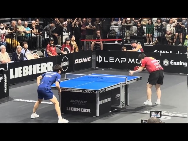 FAN ZHENDONG vs TOGAMI SHUNSUKE - GERMAN CUP 2026 - FULL HIGHLIGHTS