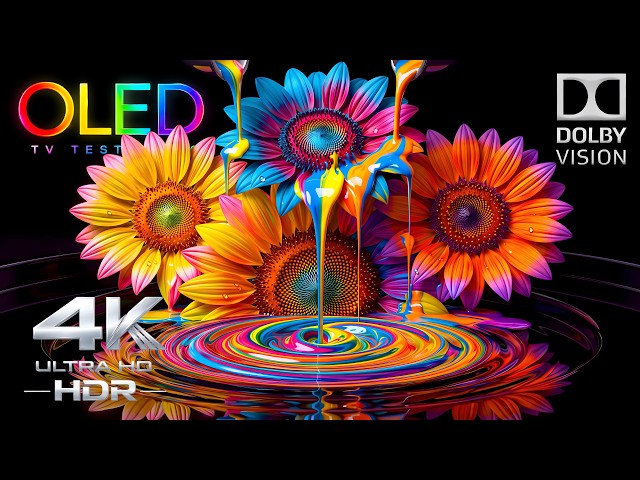 The OLED Test Big Brands Do Not Show You | HDR 4K 60FPS Dolby Vision Demo (4K Video Ultra HD)