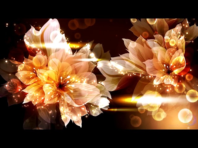 Flower wedding  - LED Background 4K