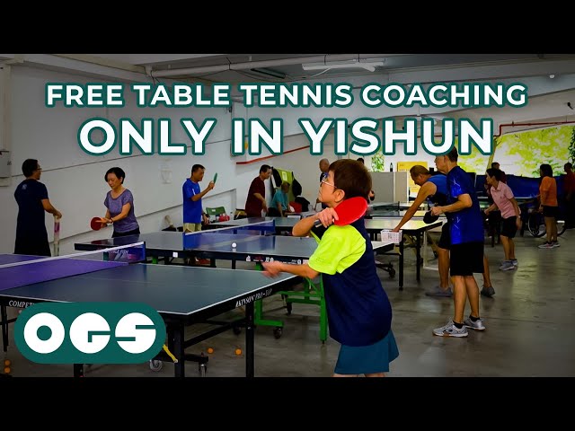 The Best Table Tennis Neighbourhood in Singapore