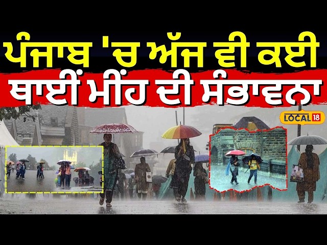 Punjab Weather Udpate | ਪੰਜਾਬ 'ਚ ਅੱਜ ਵੀ ਕਈ ਥਾਈਂ ਮੀਂਹ ਦੀ ਸੰਭਾਵਨਾ | Rain  | IMD Alert | #local18