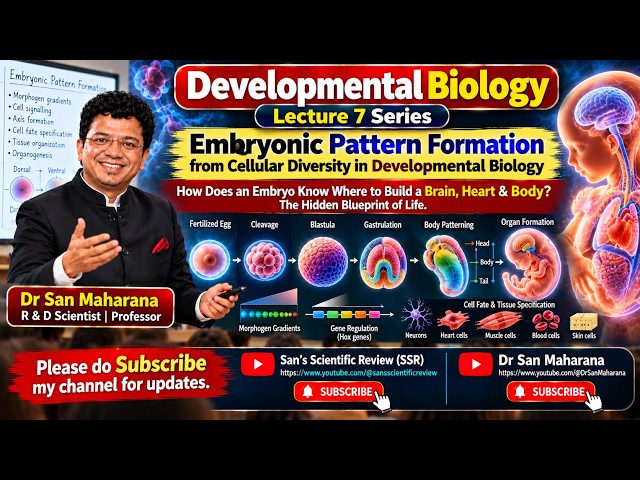 Dr San Lecture 7: Embryonic Pattern Formation from Cellular Diversity in Developmental Biology