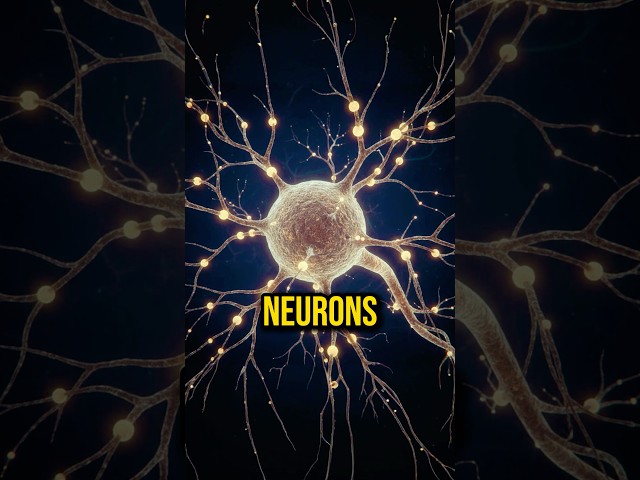 Scientists Made Neurons Play Pong — And What Happened Next Is Unreal #mystery #technology #joerogan