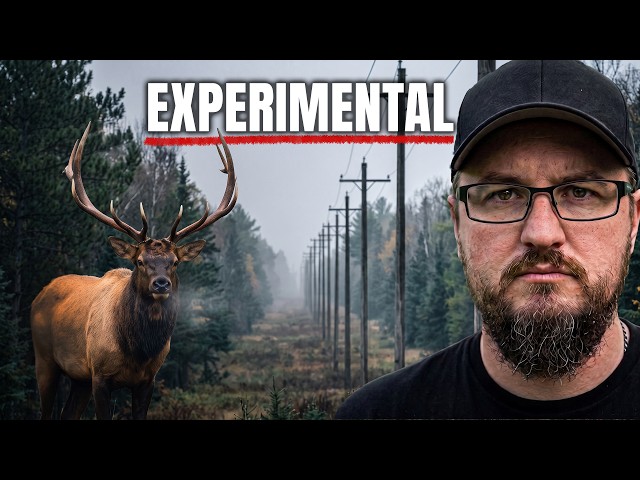 From Cold War Secrets to Elk Habitat: A Wisconsin Conservation Story