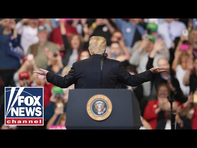 Tomi Lahren: The midterm elections will come down to this...