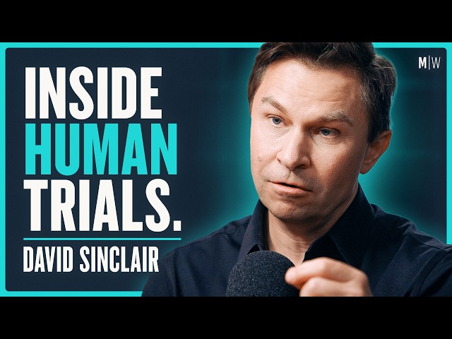 “Age Reversal Is Coming.” Everything You Need To Know - Dr David Sinclair