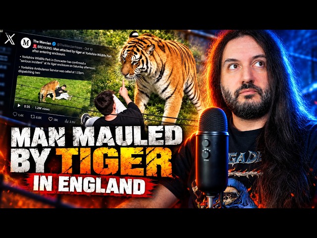 Man jumps in tiger's den and gets mauled