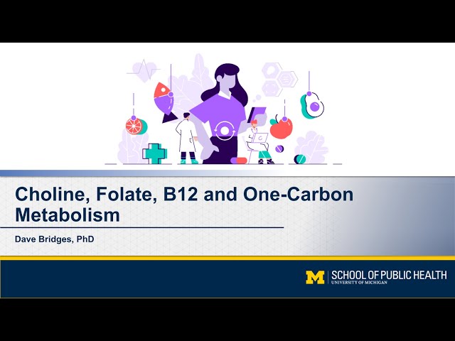 Choline, Folate, B12 and One Carbon Metabolism