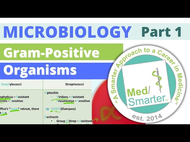 Microbiology | Gram Positive Organisms | Part 1
