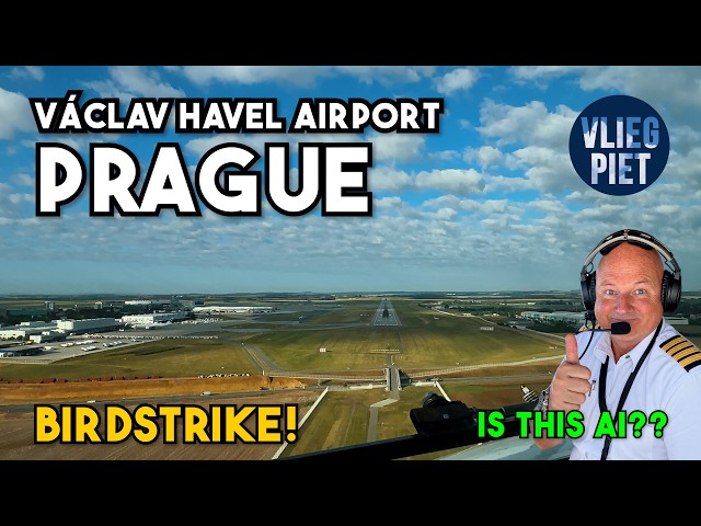 Bird Strike on Final! | Boeing 737 Landing in Prague