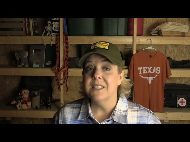 Let's talk about Talarico, Trump, Texas, trouble, and blame....