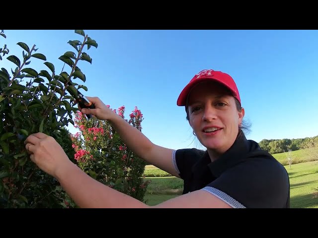 Agricultural Science & Technology