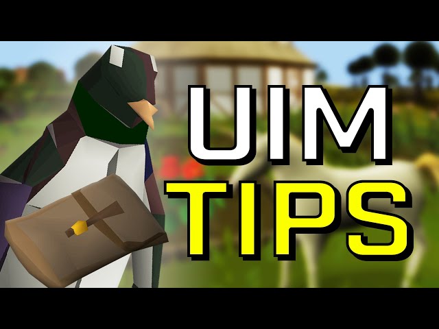 20+ Useful UIM Tips and Tricks You Might Not Know