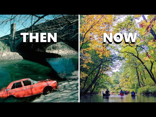 How The Bronx is Restoring its Ancient River System into Urban Green Oasis
