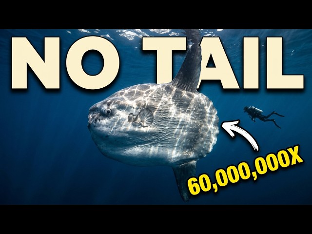 5 Animals That Make Absolutely No Sense 🧬