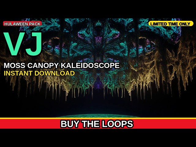 Moss Canopy Kaleidoscope VJ Loop | Hulaween Festival Visuals for DJ Sets and LED Walls