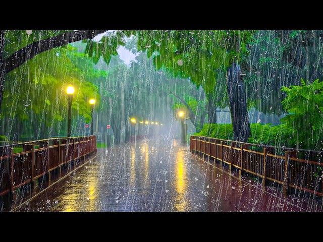 Stress Melts Away Instantly, Total Tranquility with Heavy Rain on an Empty Road in the Park at Night