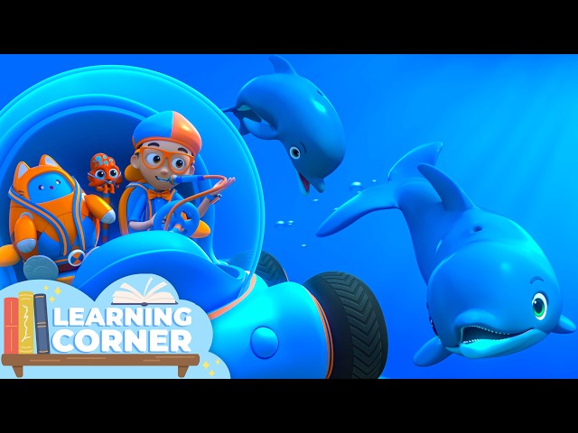 Learning how Dolphins Talk! 🐬 | Blippi Wonders | Learning Corner 📚 | Educational Videos For Kids