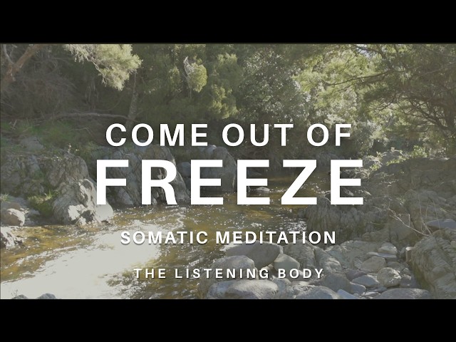 Full Body Nervous System Reset for When You Feel Frozen, Flat, or Shut Down