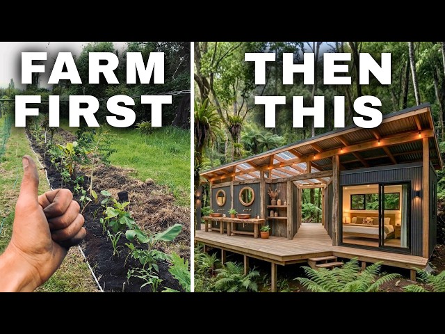 FOOD FOREST to FARM ENTERPRISE: Our 7-Year Evolution
