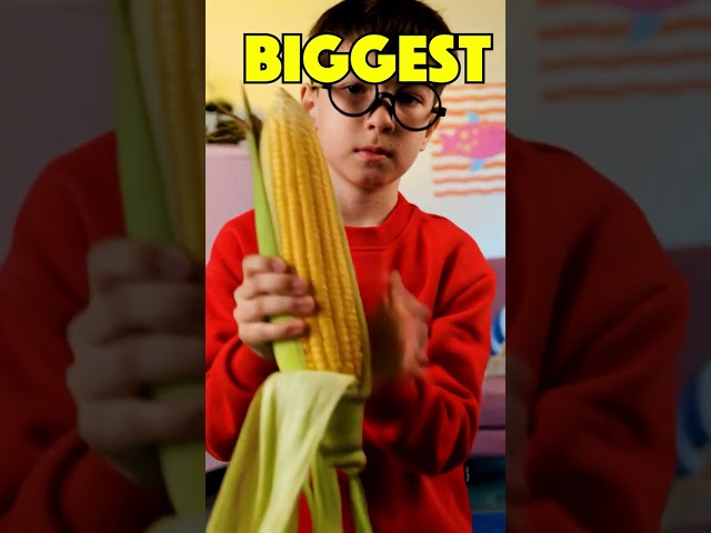 😮🌽 Giant, Big, Small, or Tiny—Which Size Is It? #shorts #kids