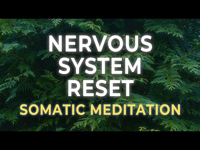 A Somatic Practice for Deep Nervous System Renewal
