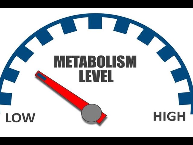 Physiology | Metabolism |  lecture 1 | part 1 | Food intake | April 24 | Dr.Nagi | Arabic