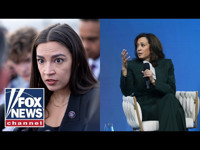 Former Illinois governor: Democratic Party is all about 'rhetoric and politics'