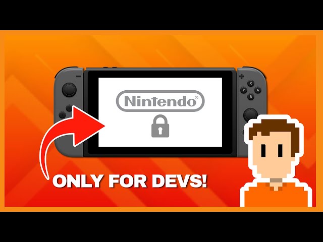 What's on a Developer Nintendo Switch?