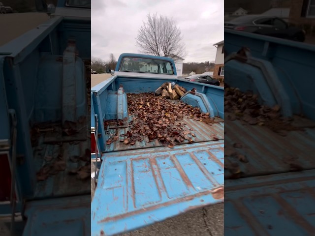 Dad Logic: Let the Truck Clean Itself