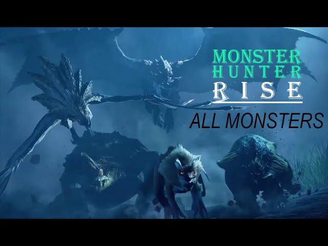 MONSTER HUNTER RISE - All Monsters To Date