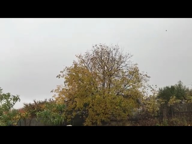 Just listen to the soothing sound of rain and thunder for 5 minutes to sleep