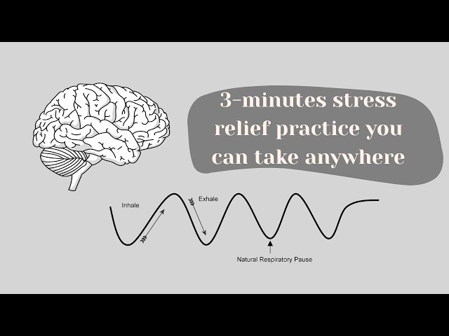 3 Minute Stress Relief - Nervous System Awareness by Caroline Hey