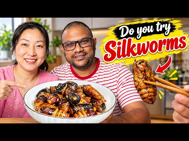 How to Cook Crispy Chinese Silkworm Chrysalis (香辣蚕蛹) at Home  | YongJuan’s Kitchen