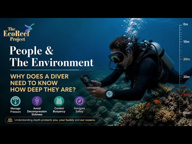 Why Does A Diver Need To Know How deep They Are