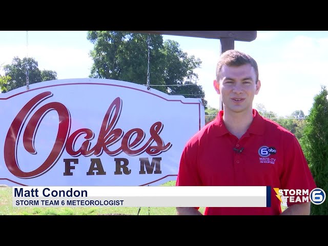 The Fall Growing Season at Oakes Farm │Beyond The Forecast