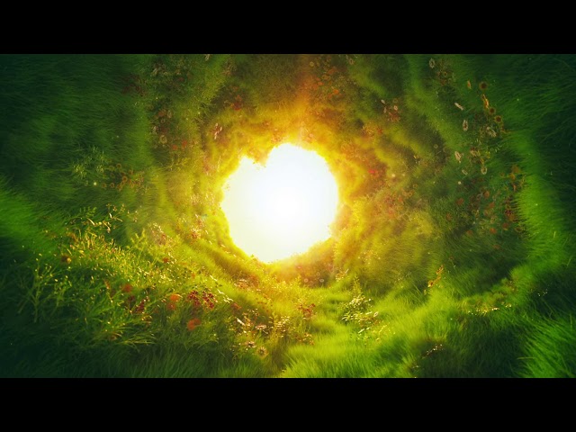 FLUFFF (FREE VJ LOOP)