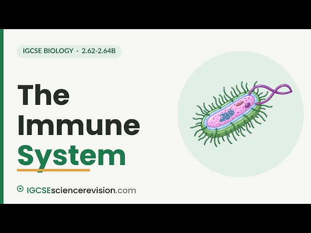The Immune System | Edexcel IGCSE Biology Revision