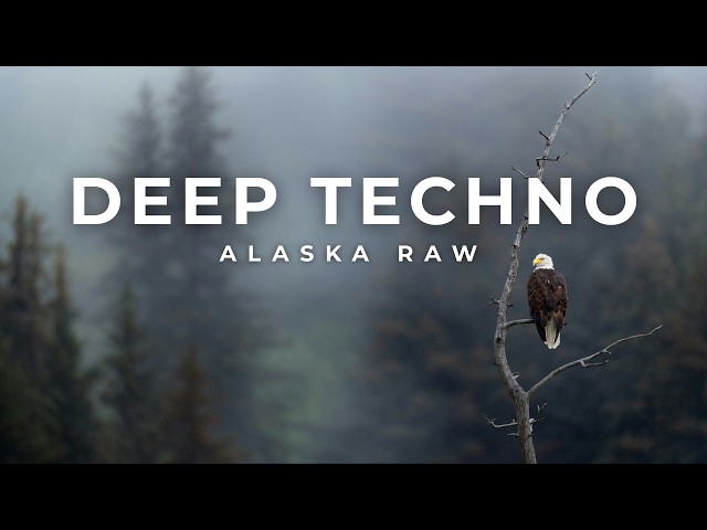 Dub Deep Techno Mix 2026 | Alaska Raw | Cinematic 4K Visuals