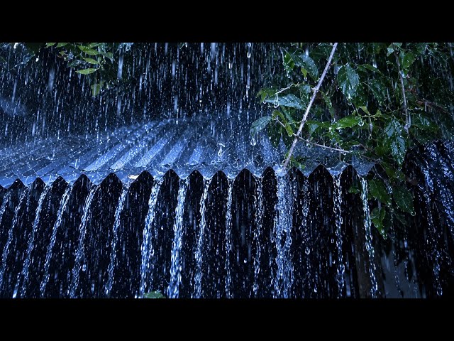 Heavy Rain Sounds for Sleeping 🌧️ Fall Asleep Fast with Rain & Thunder on a Tin Roof