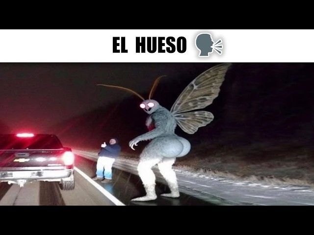 RANDOM MEMES #734
